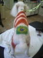 Tintura com mais de uma cor